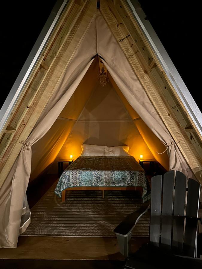 Bohamia - Cozy A-Frame Glamp On 268 Acre Forest Retreat تالاديغا المظهر الخارجي الصورة